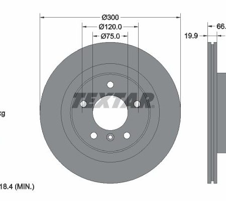 TARCZA HAMULCOWA TYL 300X20 V 92133003